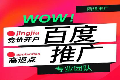 竞价推广开户成功案例分享与启示